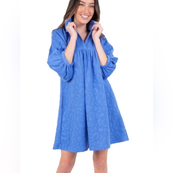 Emily Mccarthy Dresses & Skirts - Emily McCarthy Stella dress Marine cheetah Puff Sleeve Blue Large